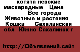 котята невские маскарадные › Цена ­ 18 000 - Все города Животные и растения » Кошки   . Сахалинская обл.,Южно-Сахалинск г.